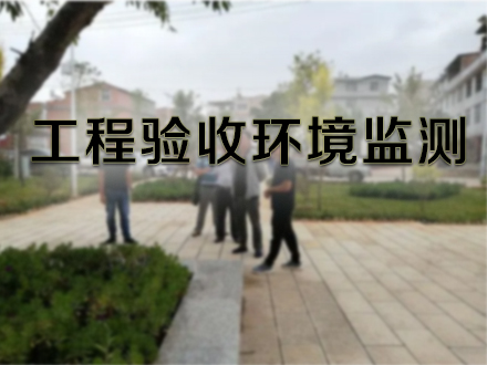 工程验收环境监测BG_03