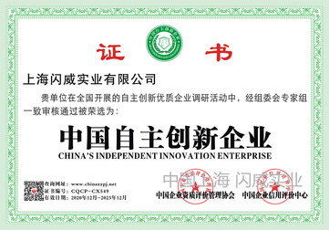 中国自主创新企业证书电子版 