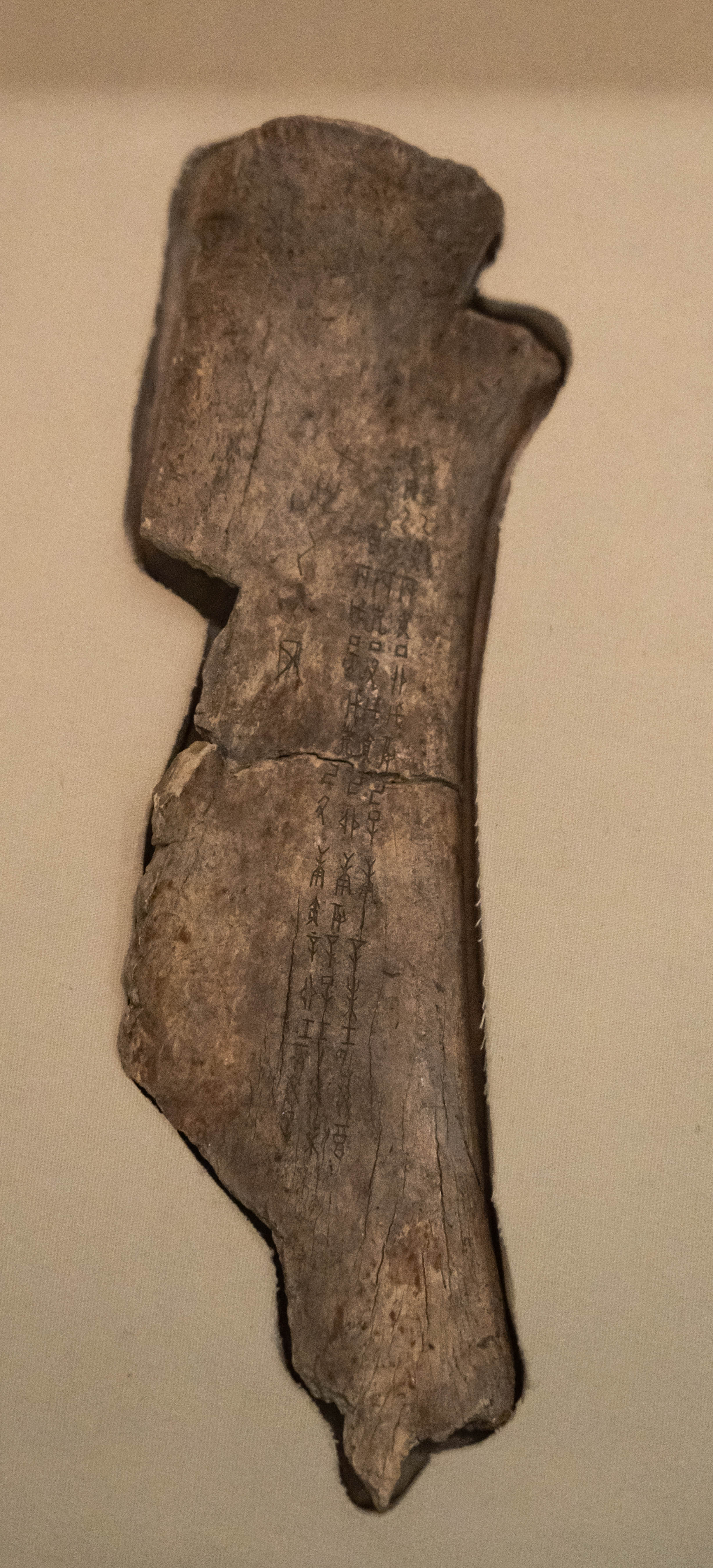 Veer图库390577858