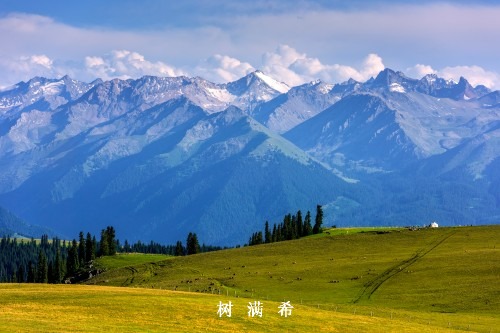 体外心肺复苏的集束化治疗和团队建设