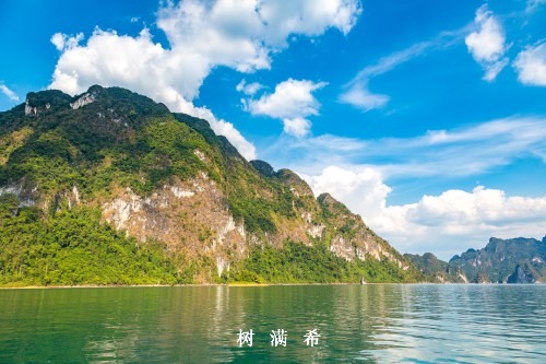 前列腺小细胞癌临床诊治特征分析并文献复习