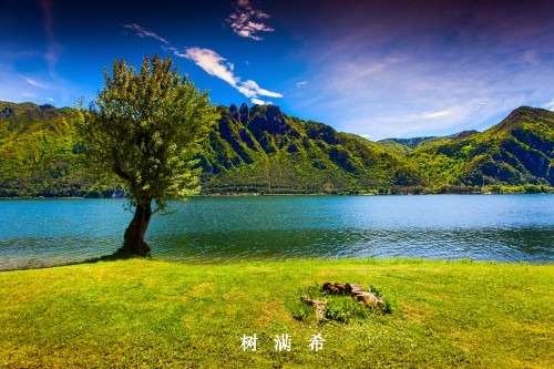 重症发热伴血小板减少综合征诊治专家共识解读