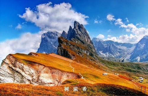 周围神经侵犯对胆囊癌外科治疗的不利影响和对策