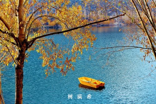 消化酶类药物临床与家庭用药指导专家共识