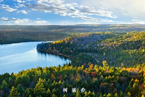 中国慢性便秘临床诊断与治疗规范