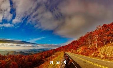 创伤性低血压休克现场救治的理念与技术革新