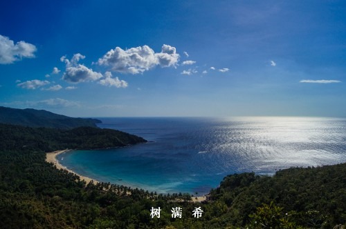 复发或转移性头颈部鳞状细胞癌的治疗进展