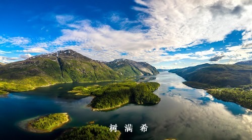急诊蛇咬伤相关疑难综合征的新近认识