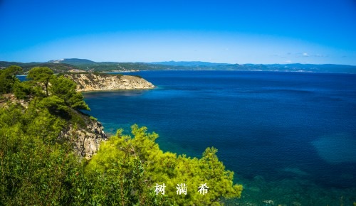 1例罕见重度气道狭窄伴重度呼吸困难患者多学科联合清醒ECMO进行气道肉芽...