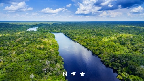 基于药代动力学的临床常见药物急性中毒血液净化治疗共识