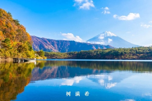 3种入路切除咽旁隙良性肿瘤的疗效分析