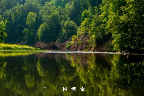 鼻眼相关疾病的手术径路选择及疗效分析