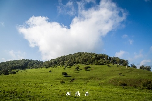 气管重建围手术期吻合口管理策略