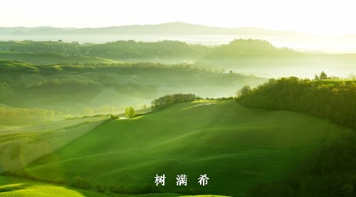 体外膜肺氧合辅助支气管镜下支架置入2例并文献复习