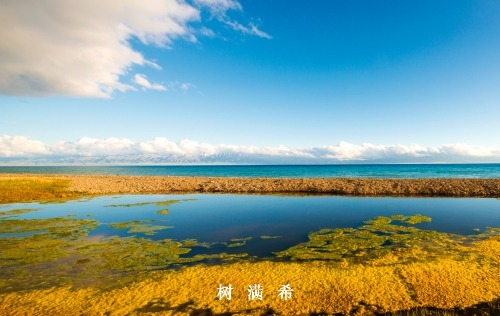 常见轻微病症健康管理专家共识（2025版）
