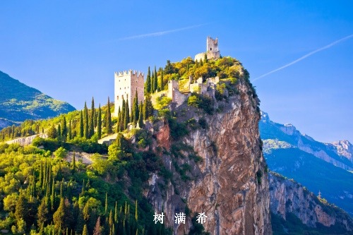 多学科综合治疗复合型肺癌患者1例