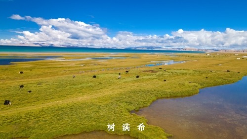 食管化学烧伤后消化道重建吻合位置的选择
