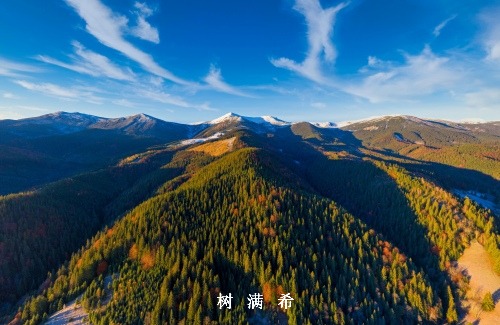 腹腔镜脾部分切除术中国专家共识(2024版)