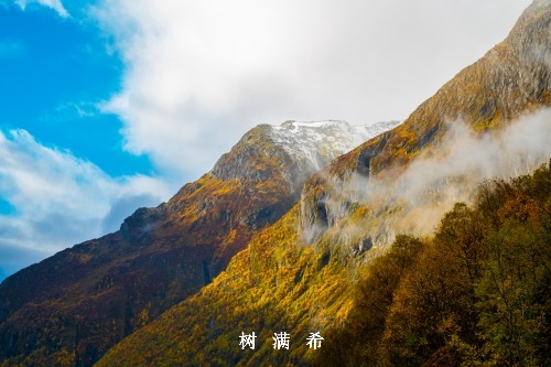 精准腹腔镜胆囊切除术单中心经验总结
