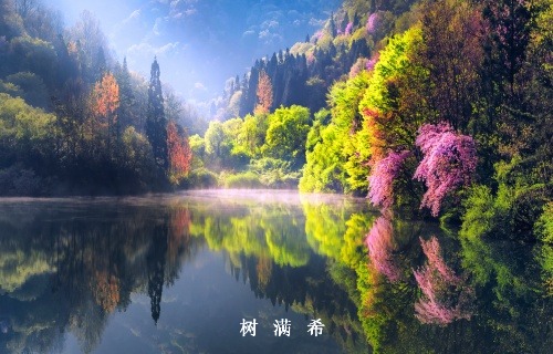 支气管动脉栓塞术治疗咯血操作规程专家共识