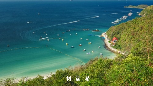 胰腺神经内分泌肿瘤的外科治疗