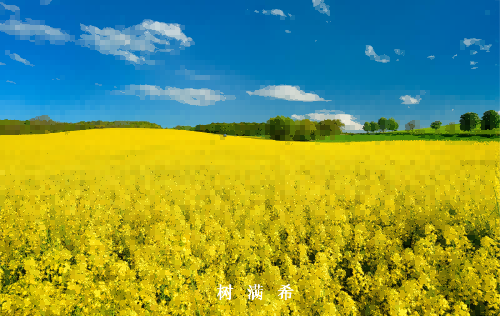 2024年肺癌外科视角：创新与挑战