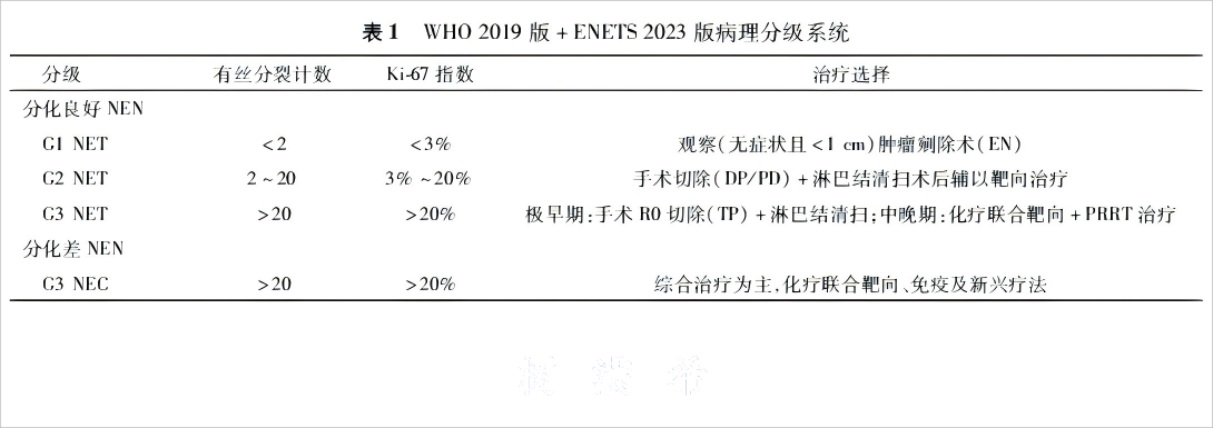 胰腺神经内分泌肿瘤---表1
