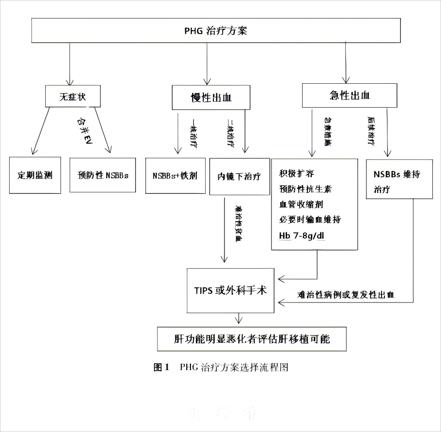 门脉高压性胃病---图1