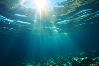 热流探针：解读海洋能资源...