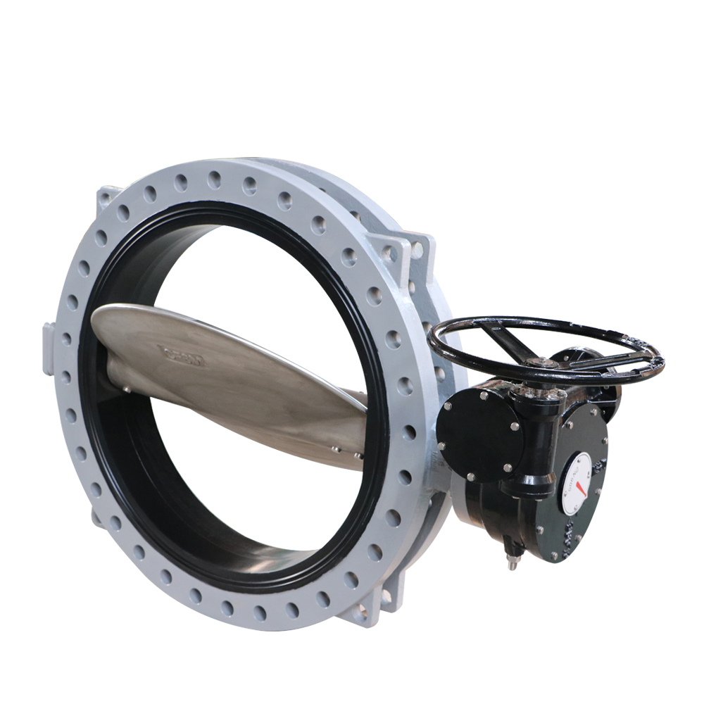Pin/Pinless Type U Section Butterfly Valve