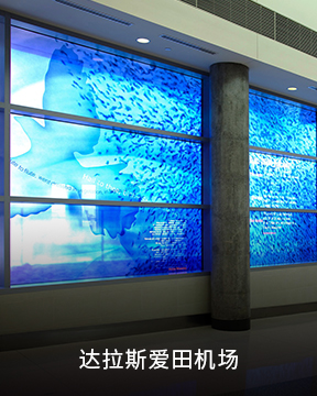 3.达拉斯爱田机场_20220411_131132531