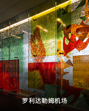 6.罗利达勒姆机场_20220411_131132546