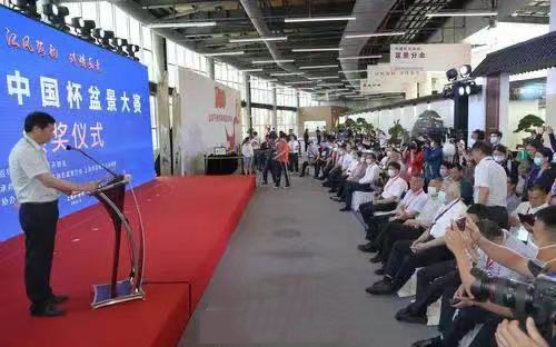 第三届中国杯盆景大赛在上海花博会举办，如皋参赛10盆景均获奖