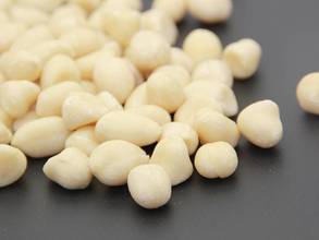 Chinese Blanched Groundnut Kernels