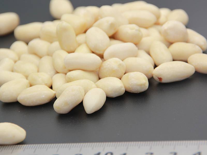 Chinese Blanched Groundnut Kernels