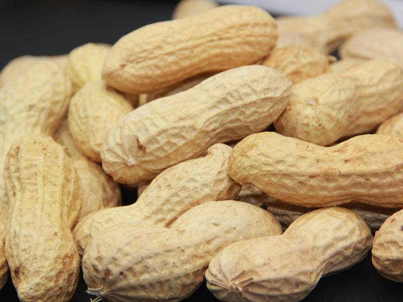 Roasted Peanut Inshell