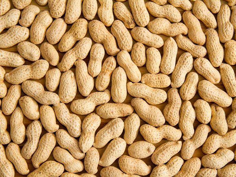 Roasted Peanut Inshell