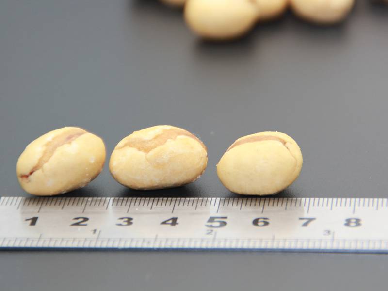 Coated Peanuts With Glutinous Rice