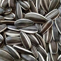 How to store melon seeds?