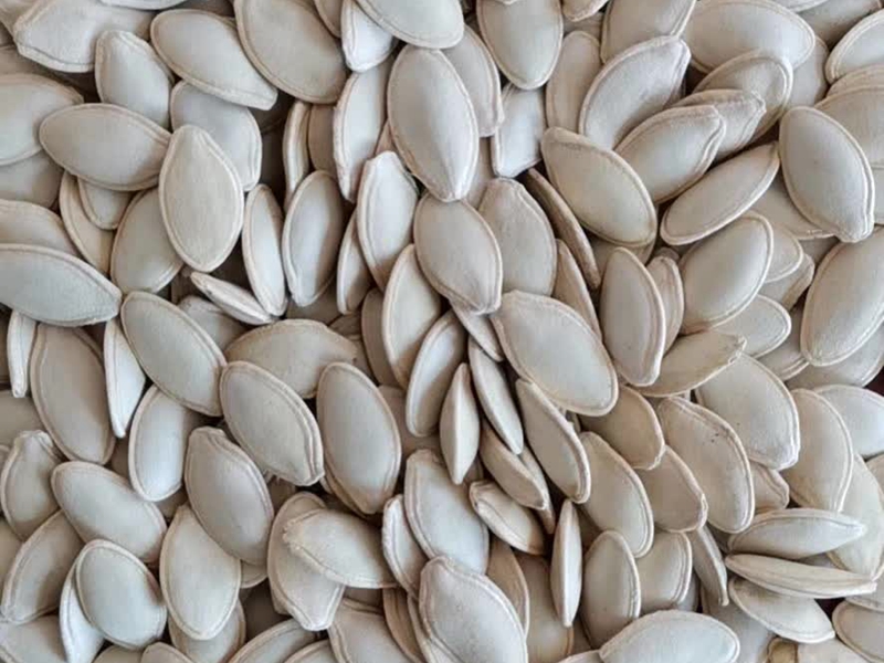 Snow white pumpkin seeds&kernels