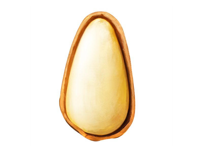 Pine nut