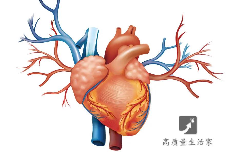 微信图片_20210810091922