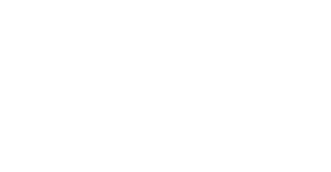 描述