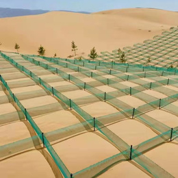 防沙网——国家治沙办安排部署全国荒漠化石漠化工作