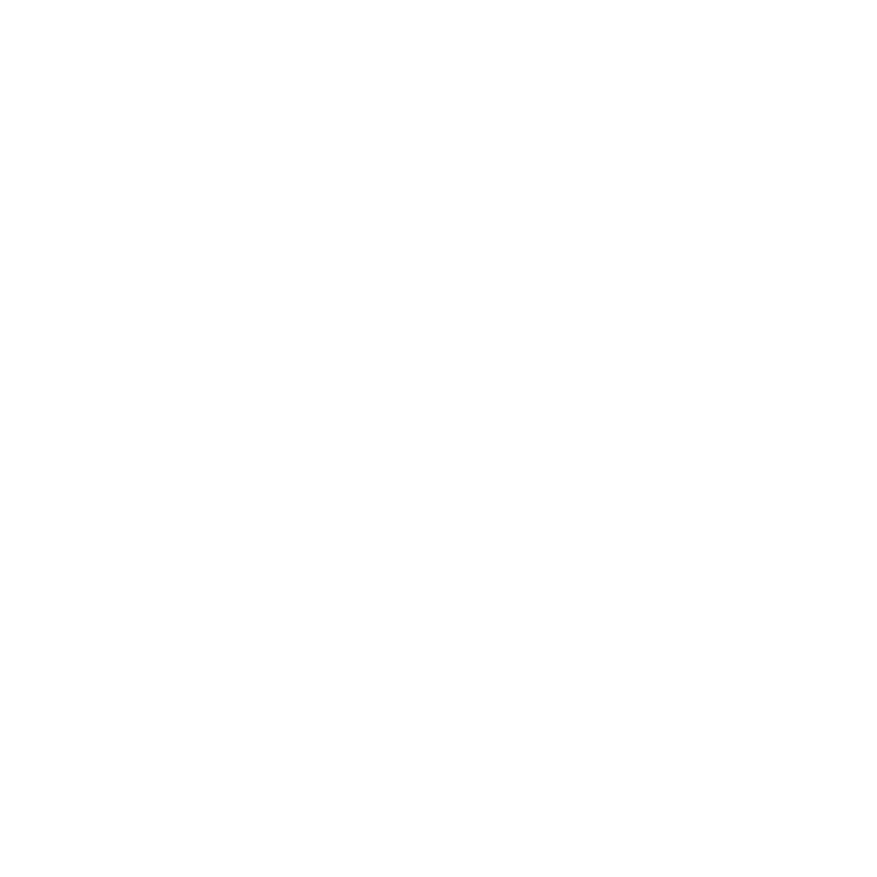 Professional Team with Rich Experience