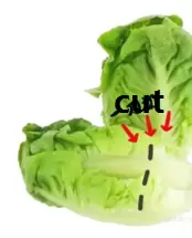 69c17a828babdab3_html_3e124583b8882278