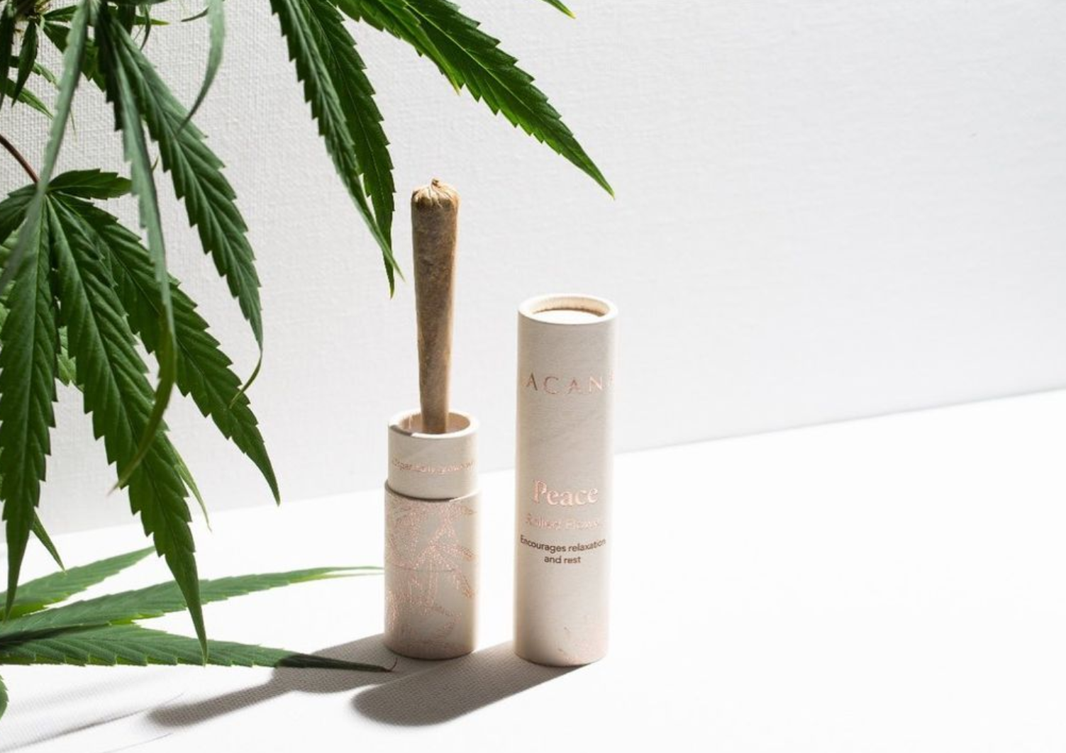 Biodegradable cardboard CBD paper tube for pre roll/vape