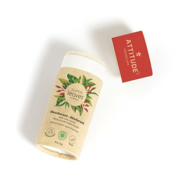 Eco Friendly Biodegradable 0.5 oz Push up Paper Tube Kraft Deodorant Paper Tube Packaging