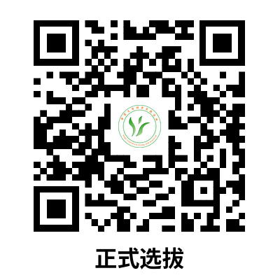 图片 5