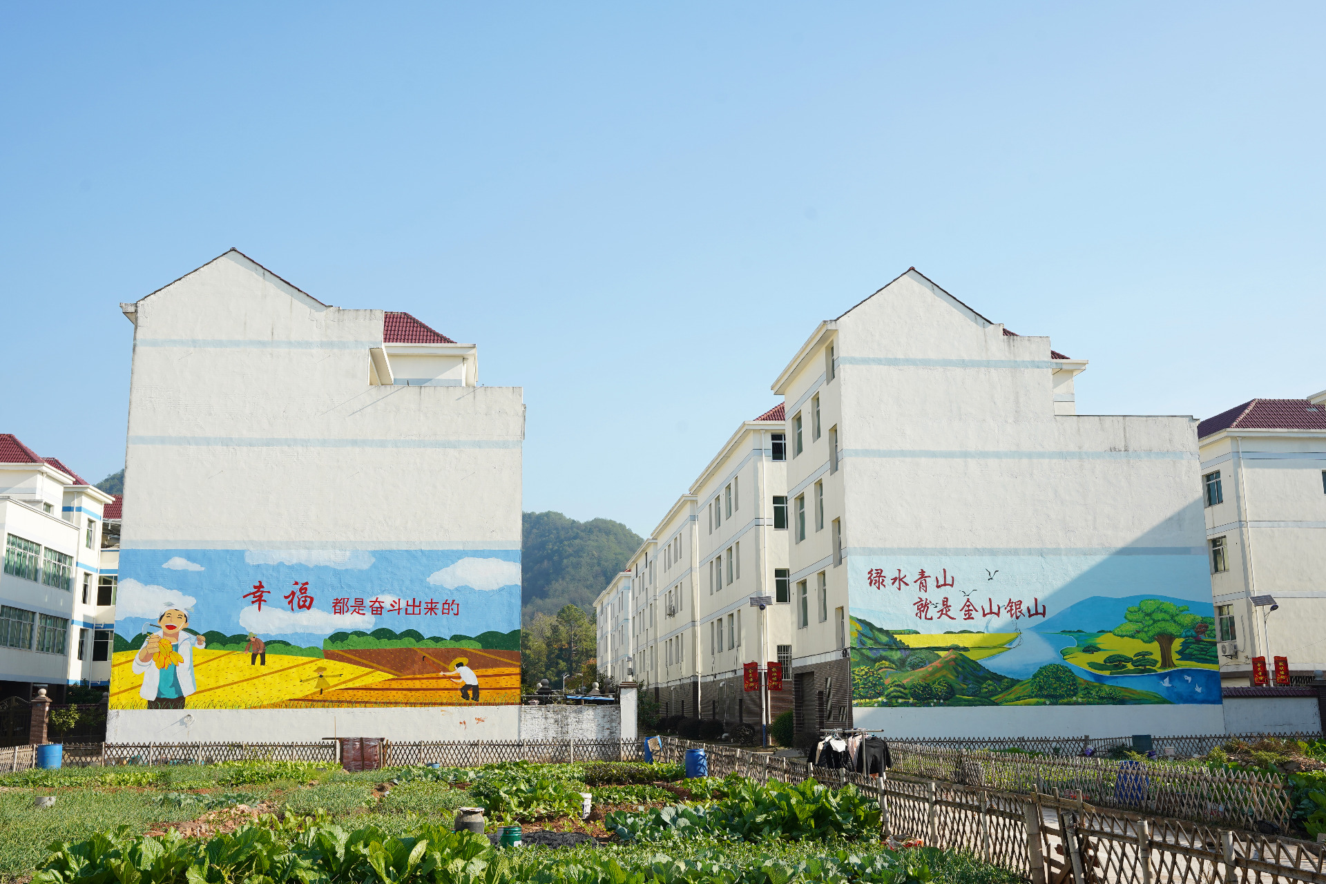 描述